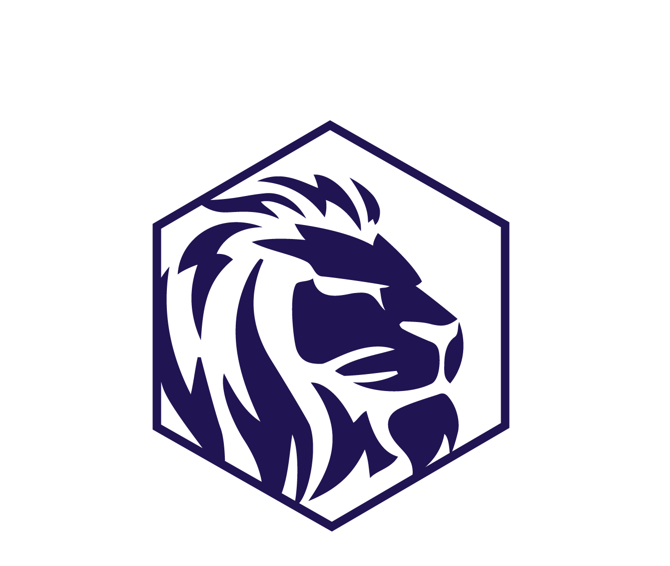 DER INSTALLATEUR MARBELLA